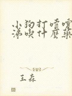 小狗打喷嚏流鼻涕吃什么药效果好