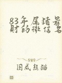 83年属猪最旺财的微信名