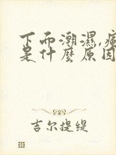 下面潮湿,瘙痒是什么原因