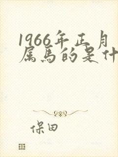 1966年正月属马的是什么命