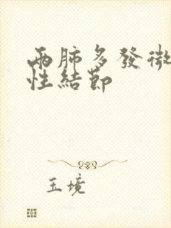 两肺多发微小实性结节封面