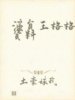 演员王格格个人资料