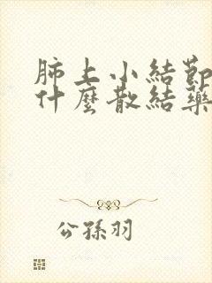 肺上小结节应吃什么散结药