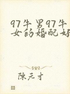 97牛男97牛女的婚配好吗