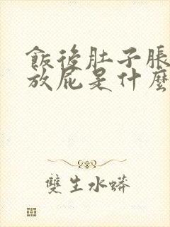 饭后肚子胀气老放屁是什么原因