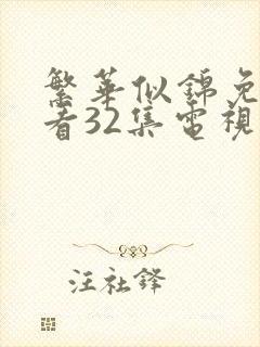 繁华似锦免费观看32集电视剧大全