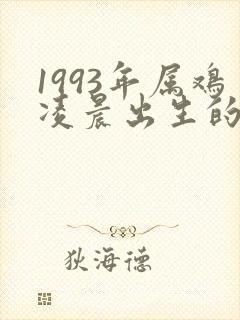 1993年属鸡凌晨出生的命运封面