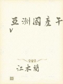 亚洲国产午夜av