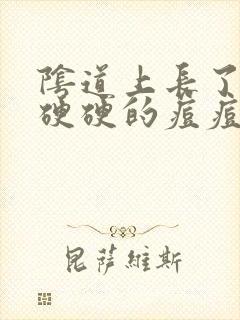 阴道上长了几颗硬硬的痘痘