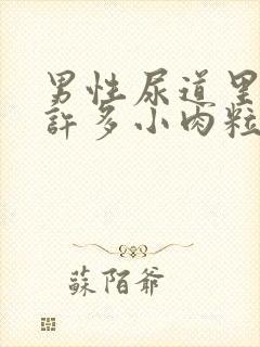 男性尿道里长了许多小肉粒