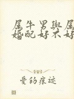 属牛男与属虎女婚配好不好封面