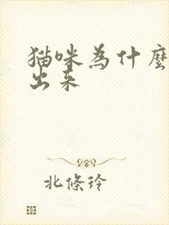 猫咪为什么漏尿出来