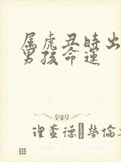 属虎丑时出生的男孩命运