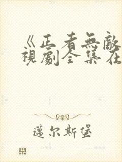 《正者无敌》电视剧全集在线观看