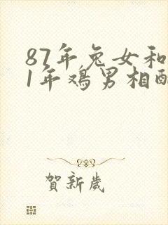 87年兔女和81年鸡男相配婚姻如何