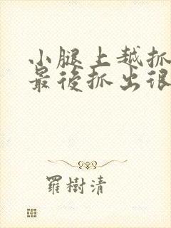 小腿上越抓越痒最后抓出很多小疙瘩封面