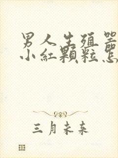 男人生殖器上长小红颗粒怎么回事