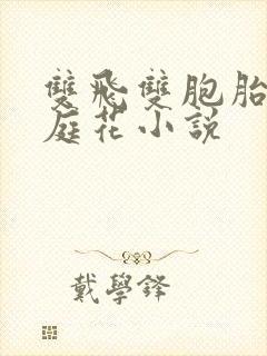 双飞双胞胎后的庭花小说封面