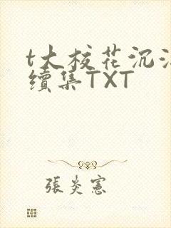 t大校花沉浮录续集TXT
