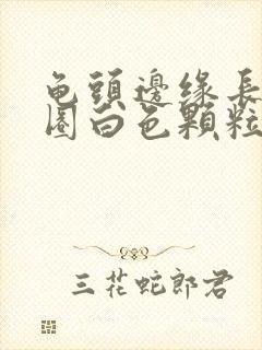 龟头边缘长了一圈白色颗粒