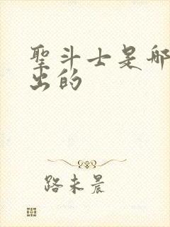 圣斗士是哪一年出的