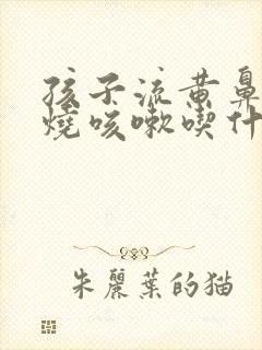 孩子流黄鼻涕发烧咳嗽吃什么药