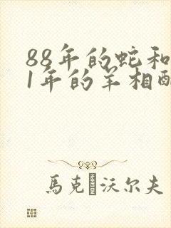 88年的蛇和91年的羊相配吗