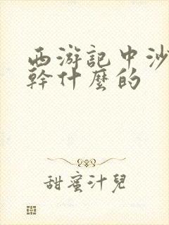 西游记中沙僧是干什么的