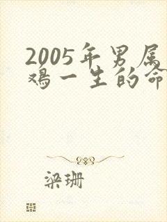 2005年男属鸡一生的命运怎样