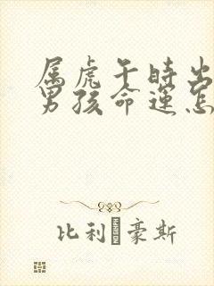 属虎午时出生的男孩命运怎么样封面