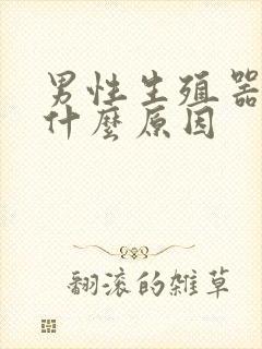 男性生殖器流浓什么原因封面