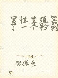 男性生殖器上长了一个粉刺封面