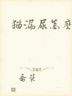 猫漏尿怎么回事