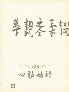 万相之王txt下载全本网盘封面