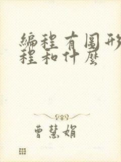 编程有图形化编程和什么