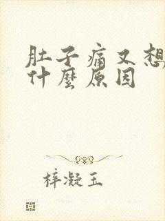 肚子痛又想吐是什么原因