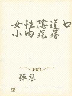 女性阴道口有个小肉疙瘩