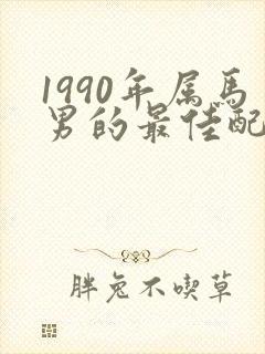 1990年属马男的最佳配偶封面
