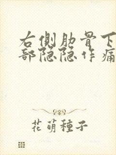 右侧肋骨下方腹部隐隐作痛封面