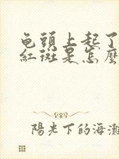 龟头上起了一块红斑是怎么回事封面