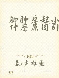 脚肿痒起小疙瘩什么原因引起的