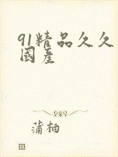 91精品久久久国产