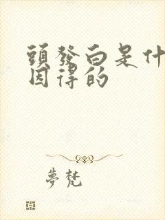 头发白是什么原因得的封面