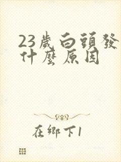 23岁白头发多什么原因