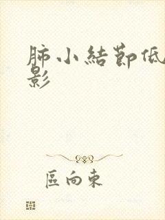 肺小结节低密度影