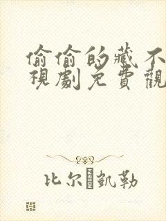 偷偷的藏不住电视剧免费观看完整版封面