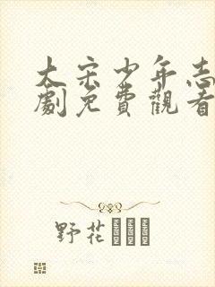 大宋少年志电视剧免费观看全集在线播放封面