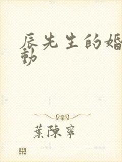 辰先生的婚然心动封面