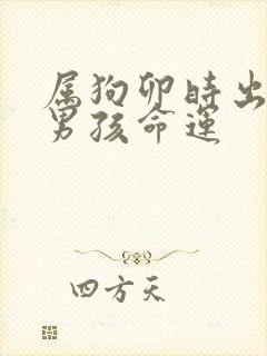 属狗卯时出生的男孩命运