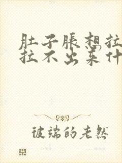 肚子胀想拉屎又拉不出来什么原因封面